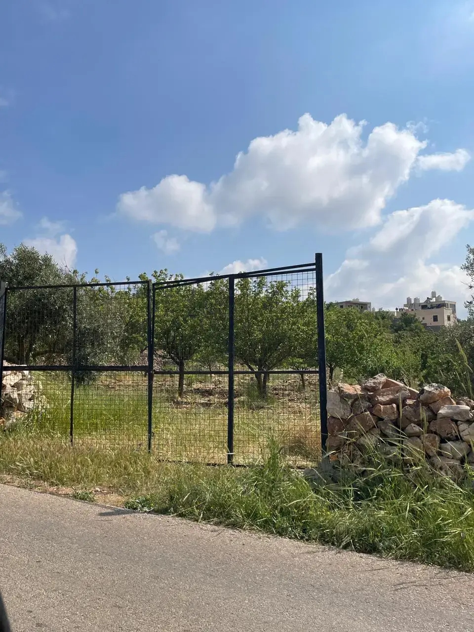 Land for sale in Sakhra – photo 12