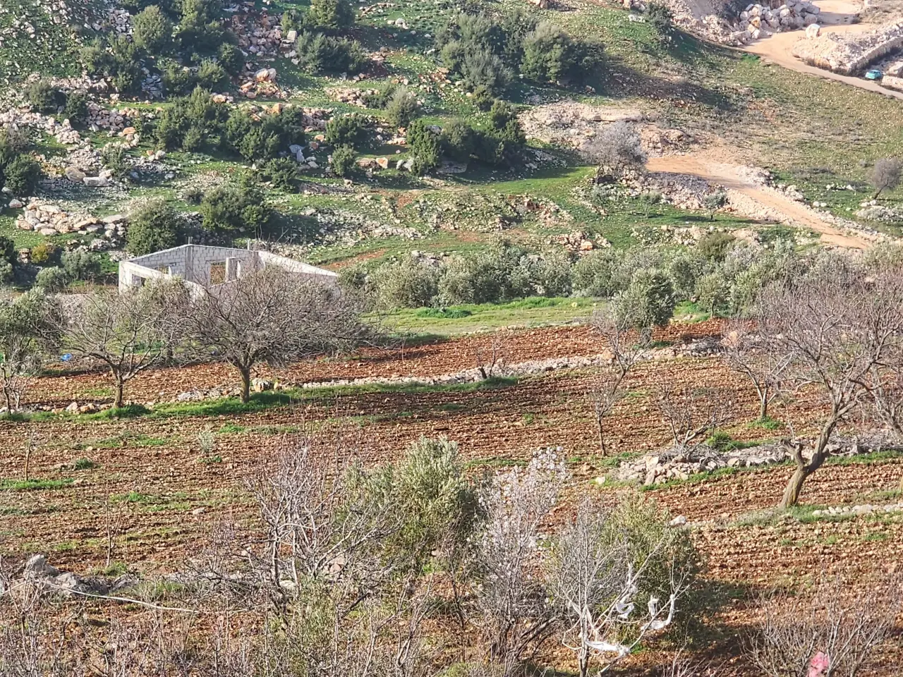 Land for sale in Sakhra – photo 4