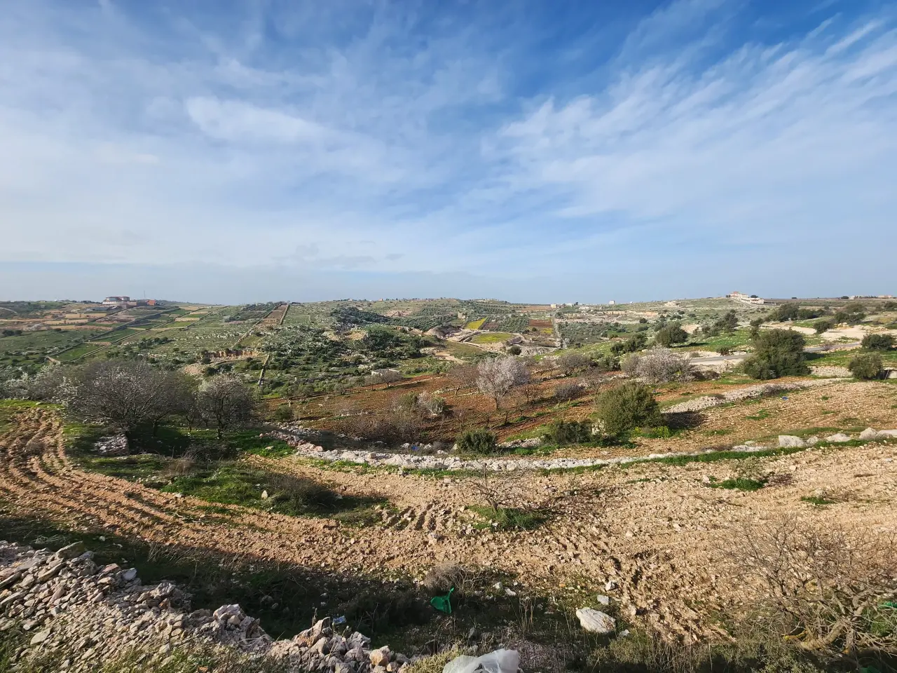 Land for sale in Sakhra – photo 2