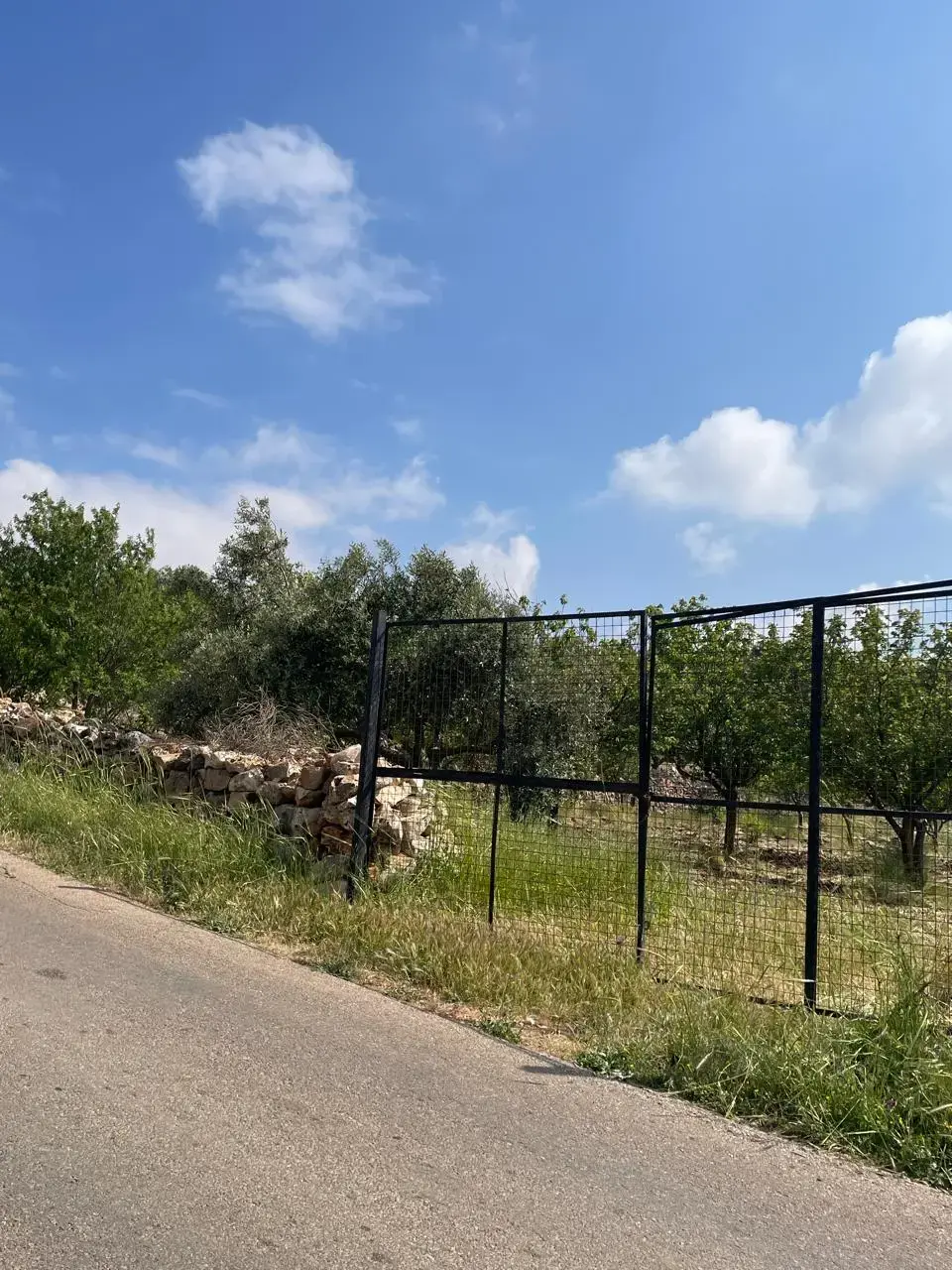 Land for sale in Sakhra – photo 11