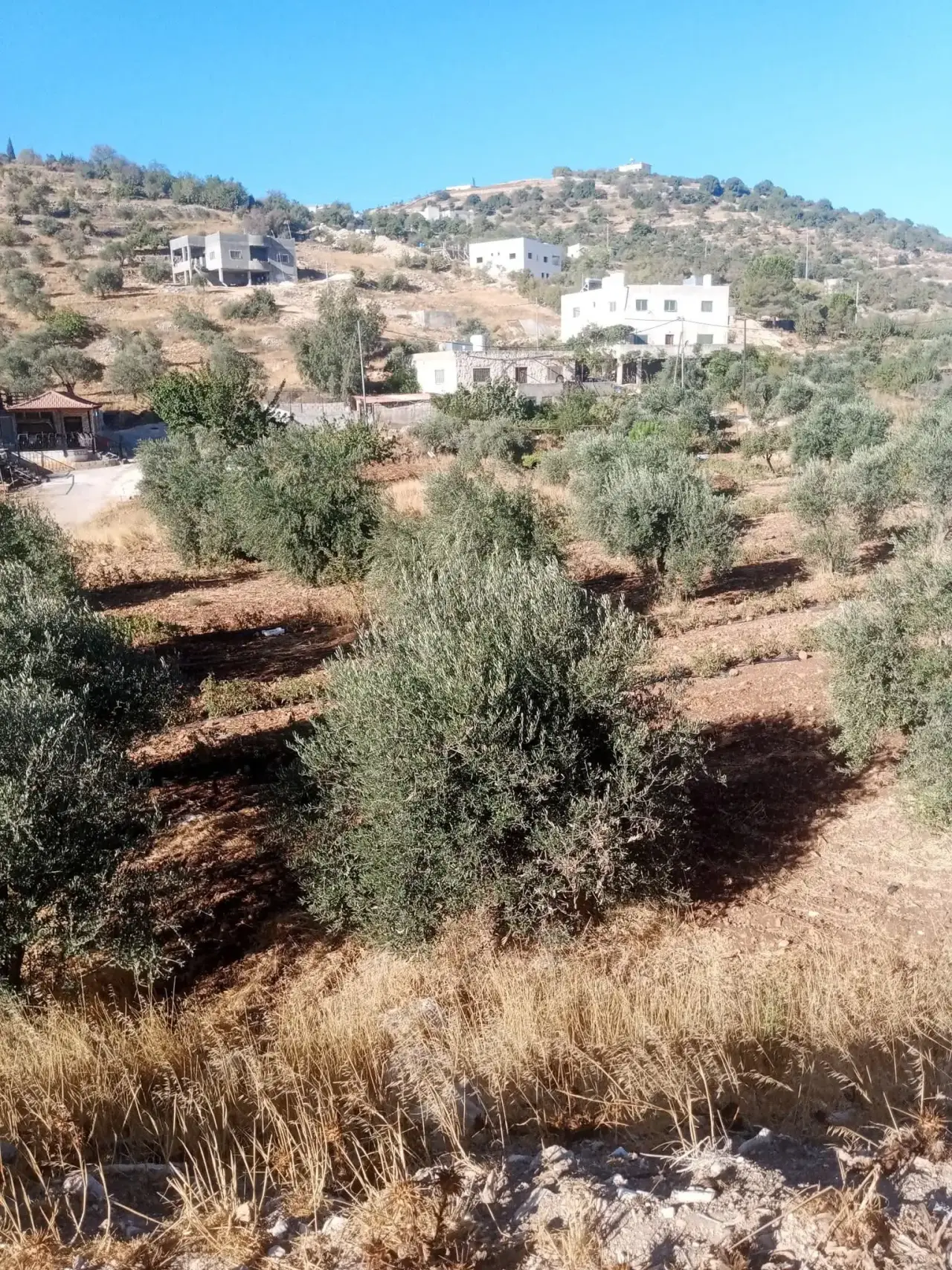 Land for sale in Sakhra – photo 9