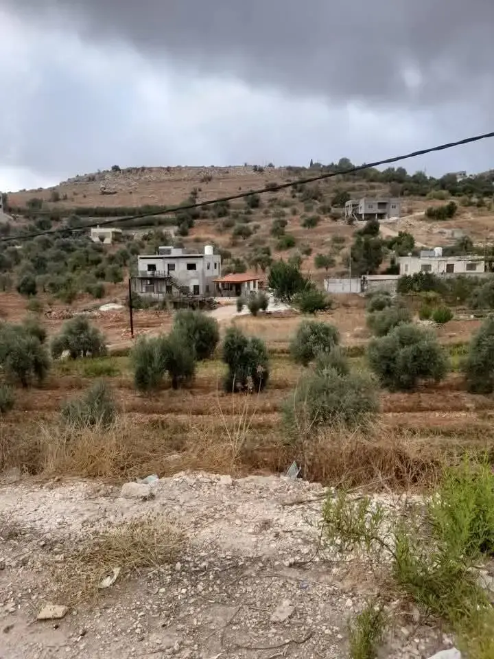 Nearly 2 dunums with trees on a 30 m road between Kufrkhal and Sakhra