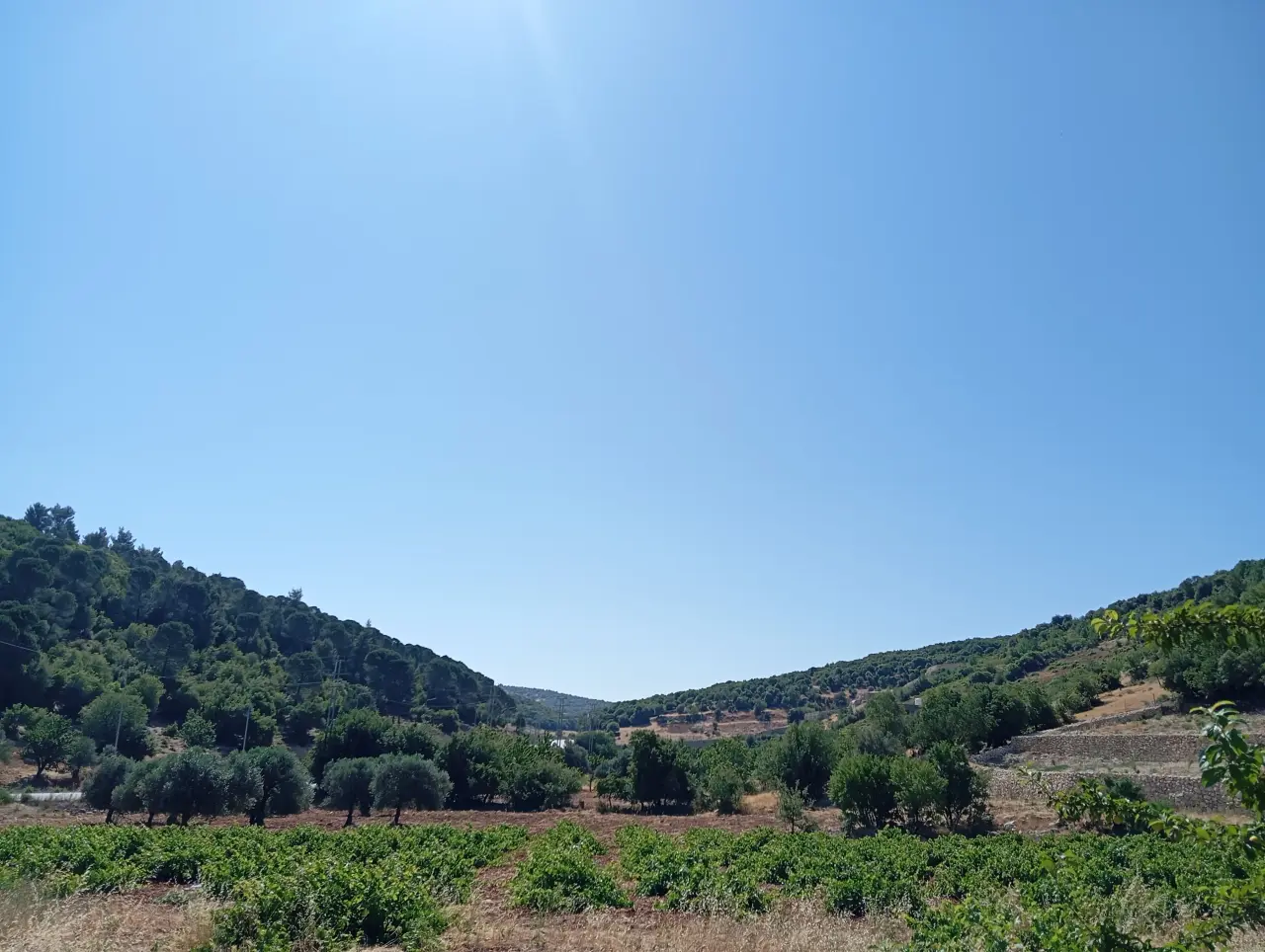 Land for sale in E'in Jana – photo 4