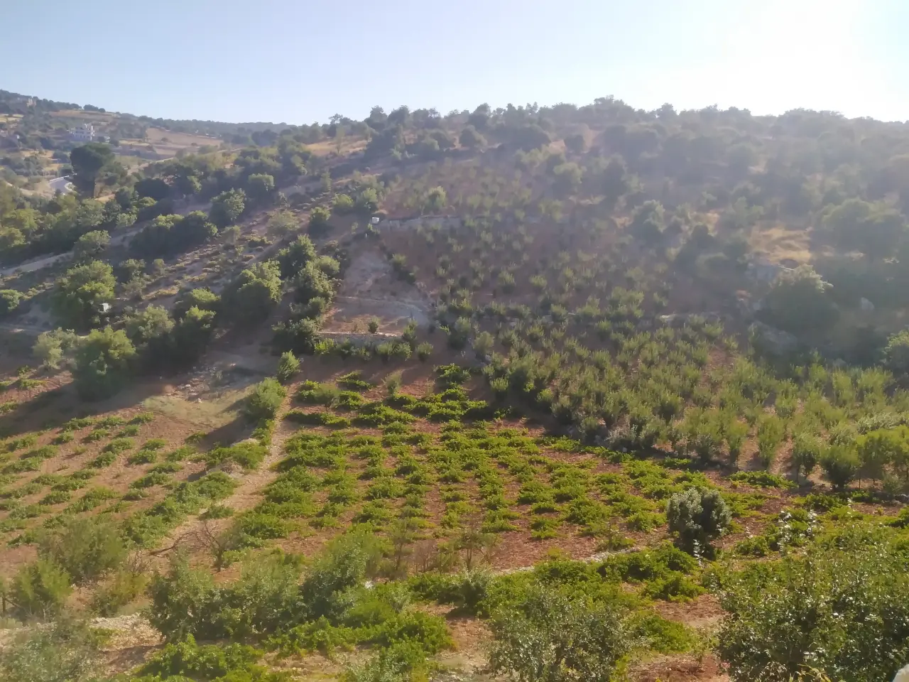 Land for sale in E'in Jana – photo 6