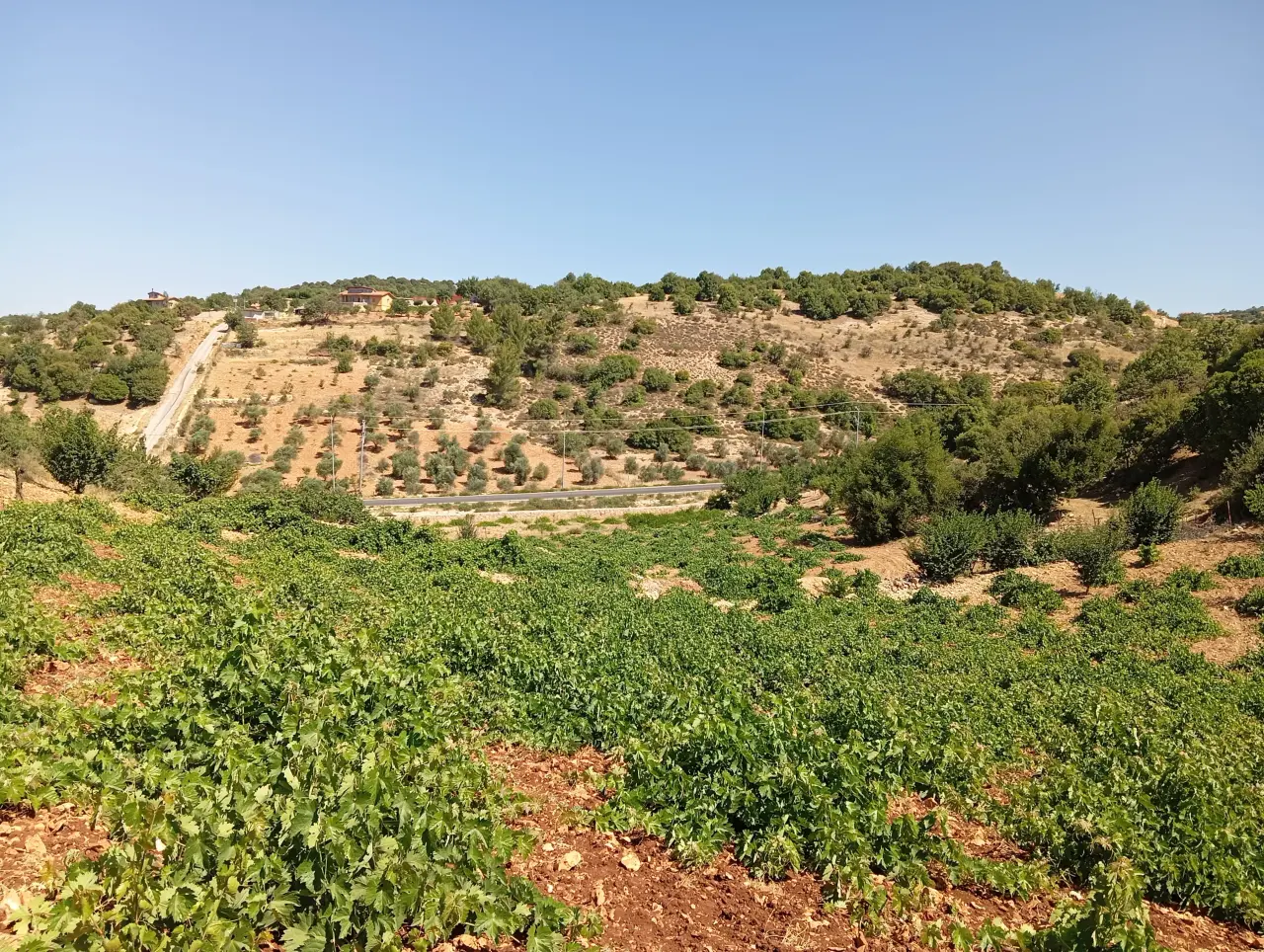 Land for sale in E'in Jana – photo 2