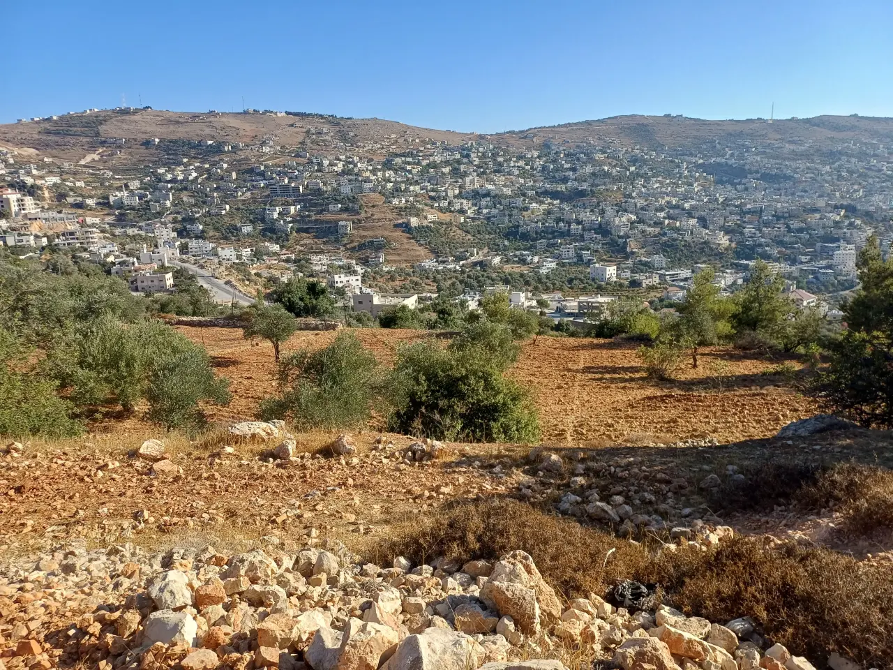 Land for sale in A'anjara – photo 12