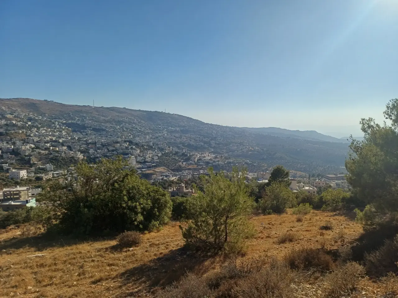 Land for sale in A'anjara – photo 7