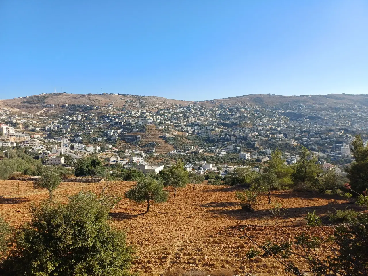 Overlooking Ajloun Castle: 2,944 m² tree-covered plot on two roads in Abu Hatoum