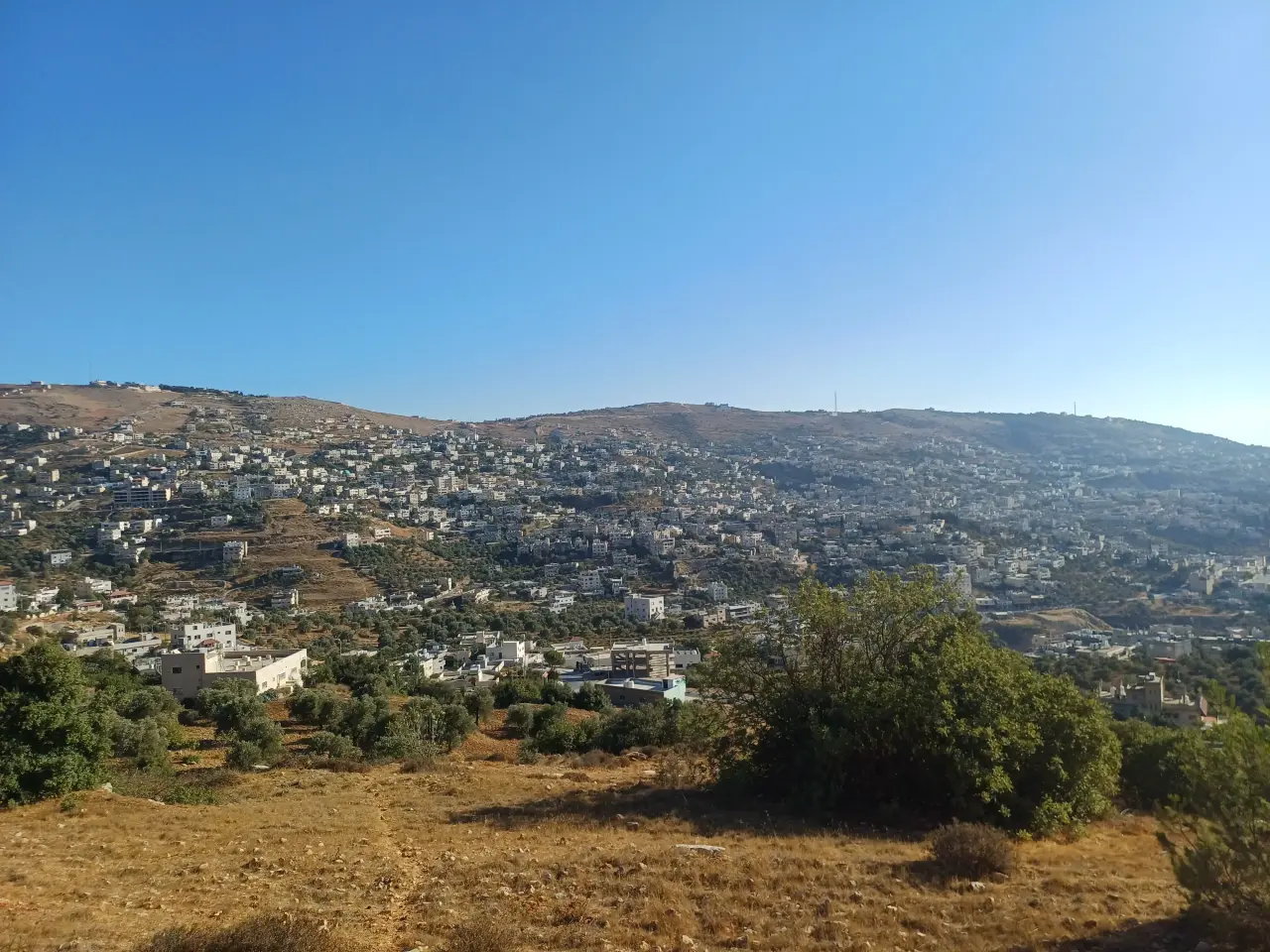 Land for sale in A'anjara – photo 8