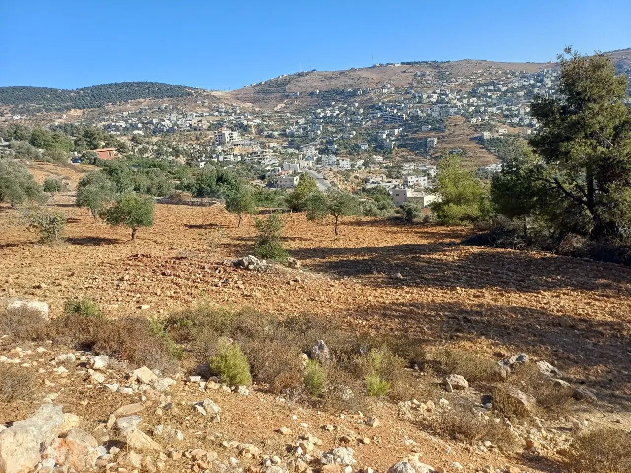 Land for sale in A'anjara – photo 10