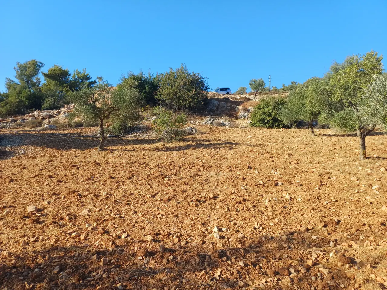 Land for sale in A'anjara – photo 4