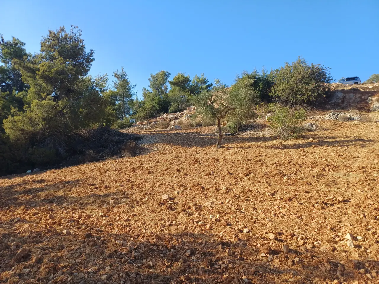 Land for sale in A'anjara – photo 3