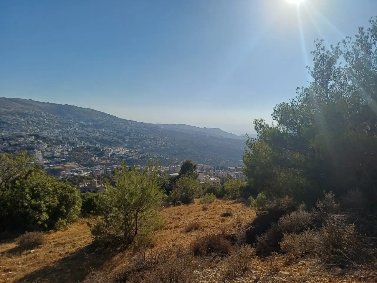 Land for sale in A'anjara – photo 6
