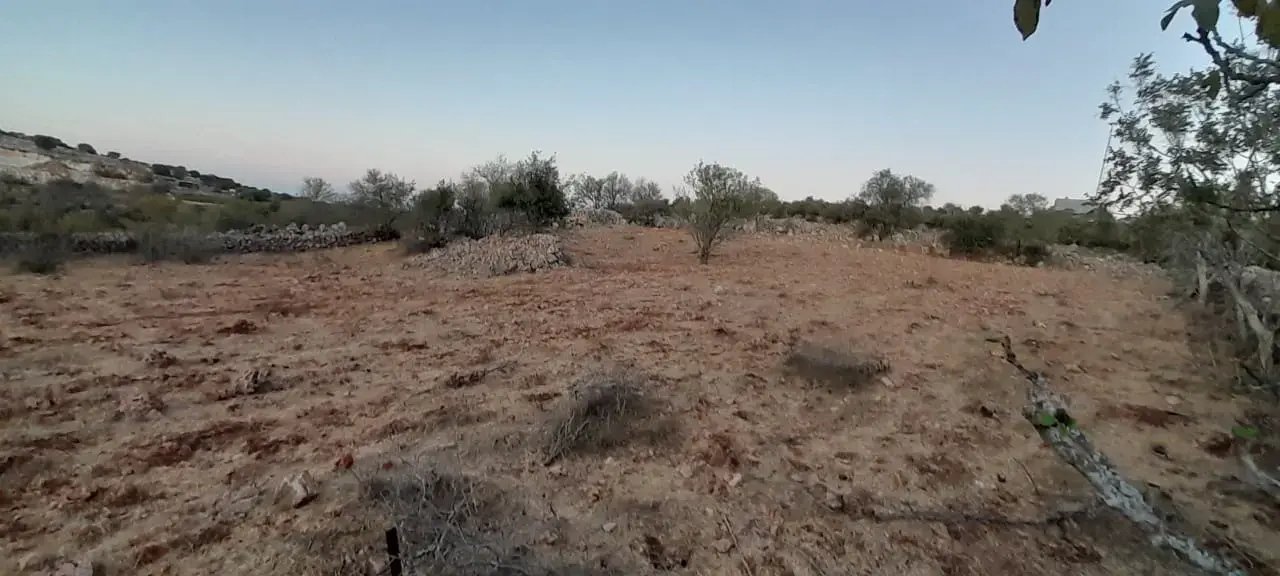Land for sale in A'fna – photo 13