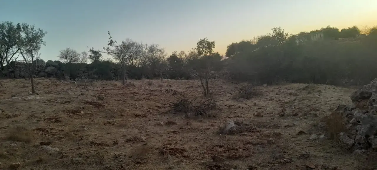 Land for sale in A'fna – photo 10