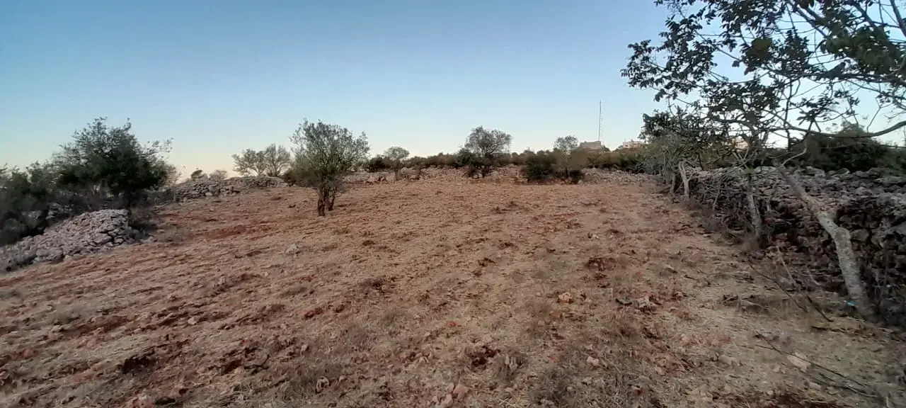 8,890 m² plot for farming or housing near the farms in A'fna