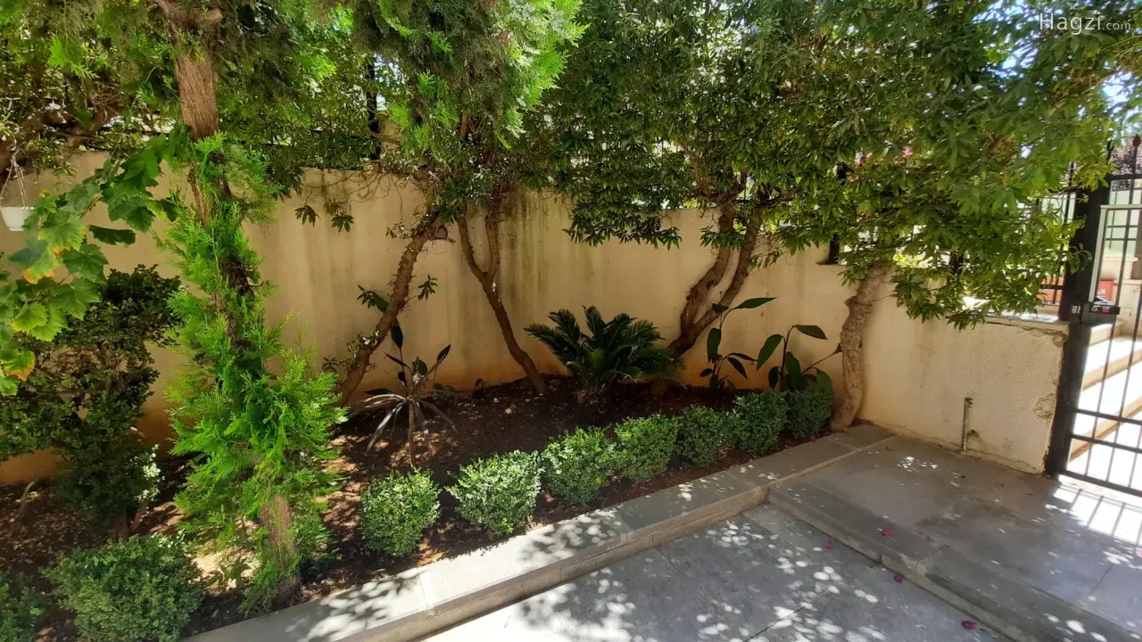 الصورة 6 من 12