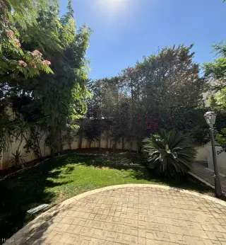 الصورة 2 من 6