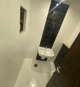 الصورة 8 من 12