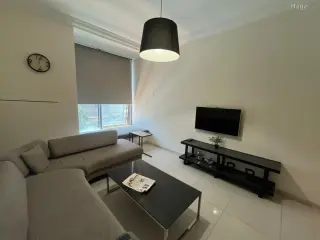 الصورة 3 من 8
