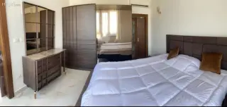 الصورة 7 من 12