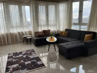 الصورة 1 من 12