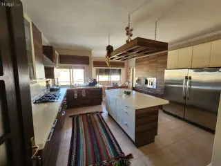 الصورة 6 من 12
