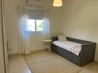 الصورة 11 من 12