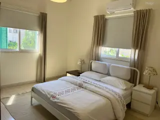 الصورة 12 من 12