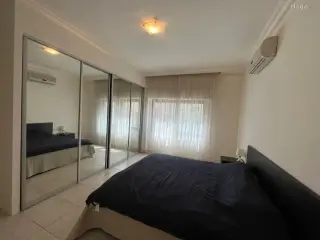 الصورة 7 من 12