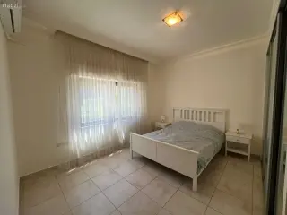 الصورة 8 من 12