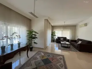 الصورة 10 من 12