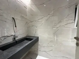 الصورة 6 من 12