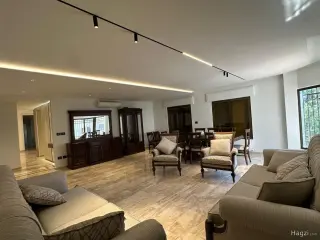 الصورة 3 من 12