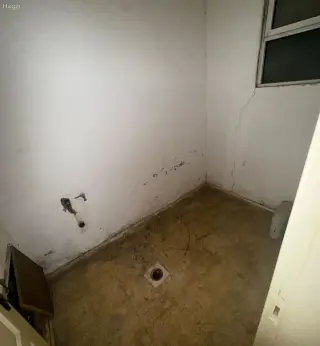الصورة 8 من 12