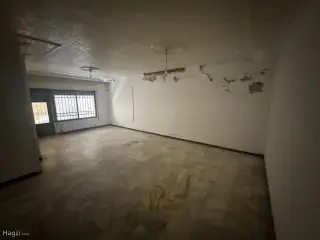 الصورة 2 من 12