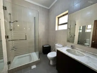 الصورة 4 من 12