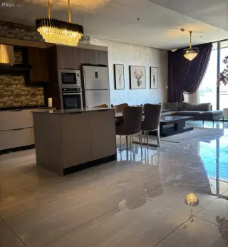 الصورة 2 من 12