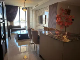 الصورة 6 من 12