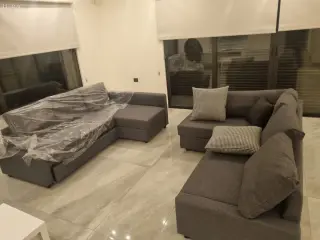 الصورة 12 من 12