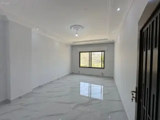 الصورة 11 من 11