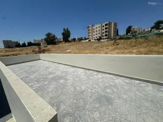 الصورة 6 من 12