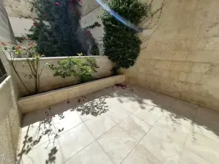 الصورة 1 من 12