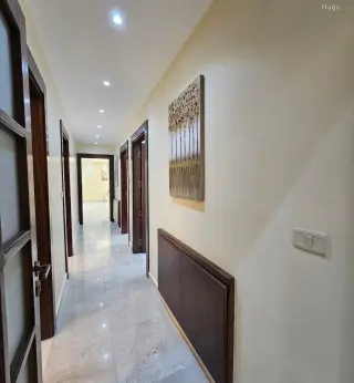 الصورة 12 من 12