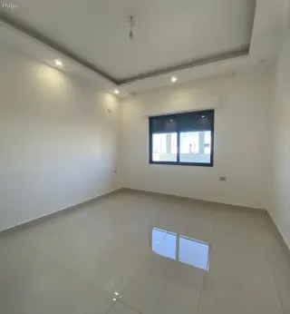 الصورة 8 من 12