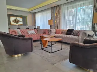 الصورة 12 من 12