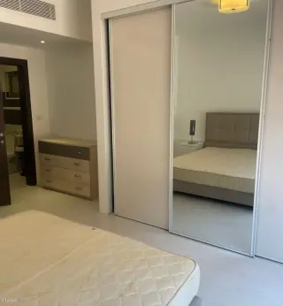 الصورة 10 من 12
