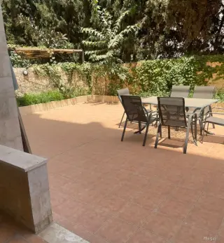 الصورة 12 من 12