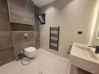 الصورة 8 من 12