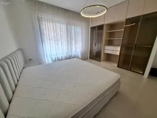 الصورة 11 من 12